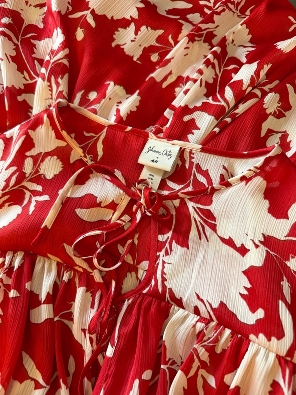 H&M Johanna Ortiz Maxi Dress - Picture 4 of 14